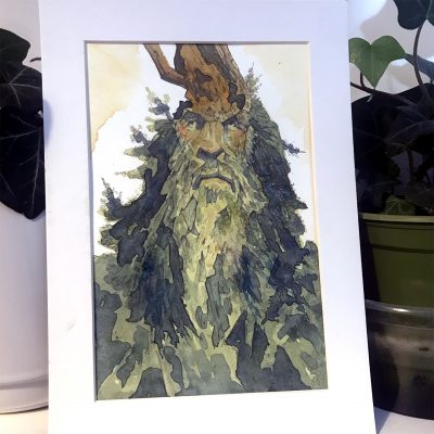 Conifer Giant