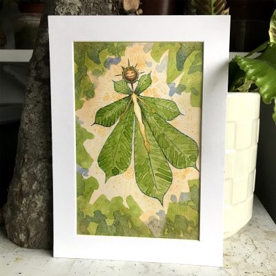 Conker Fairy