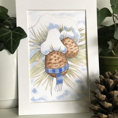 Sleeping Pine Cones